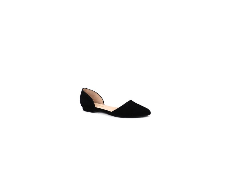 Apple of Eden - BLONDIE - Schwarz 