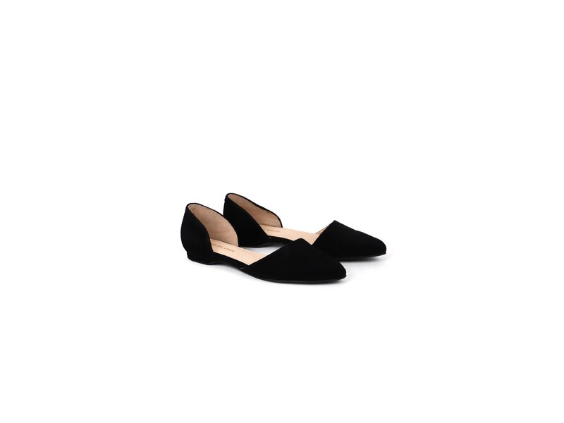 Apple of Eden - BLONDIE - Schwarz 