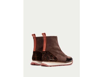 Hispanitas - KANSAS - Braun