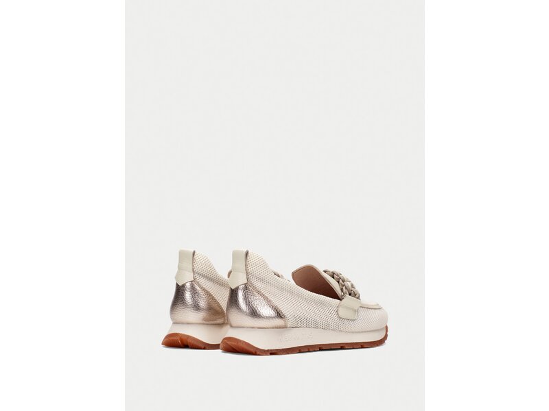 Hispanitas - KANSAS - Weiss 