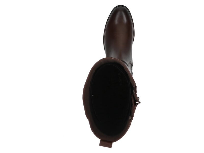 Caprice - Stiefel - Braun 