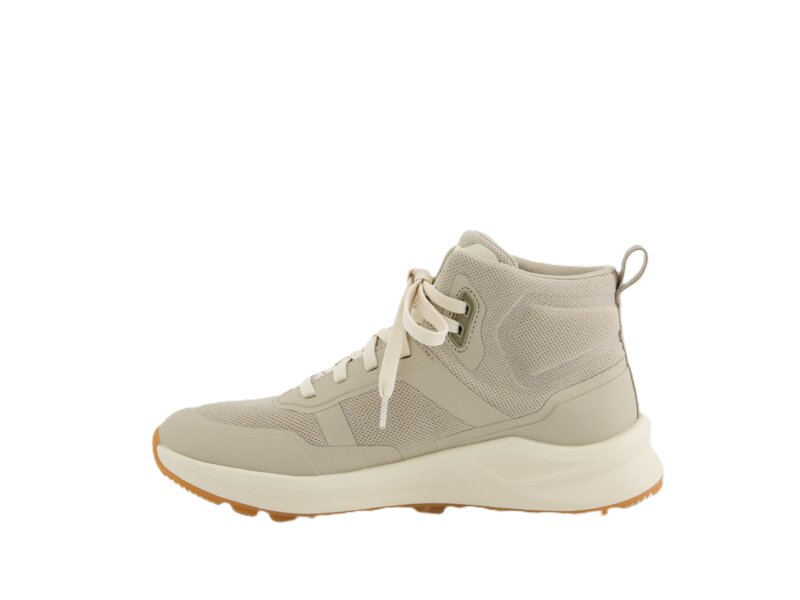 Tenhaag - Trekhaag - Beige 