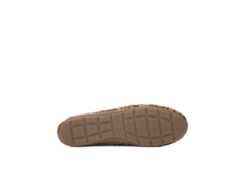 Ara - ALABAMA-SPORT - Braun 