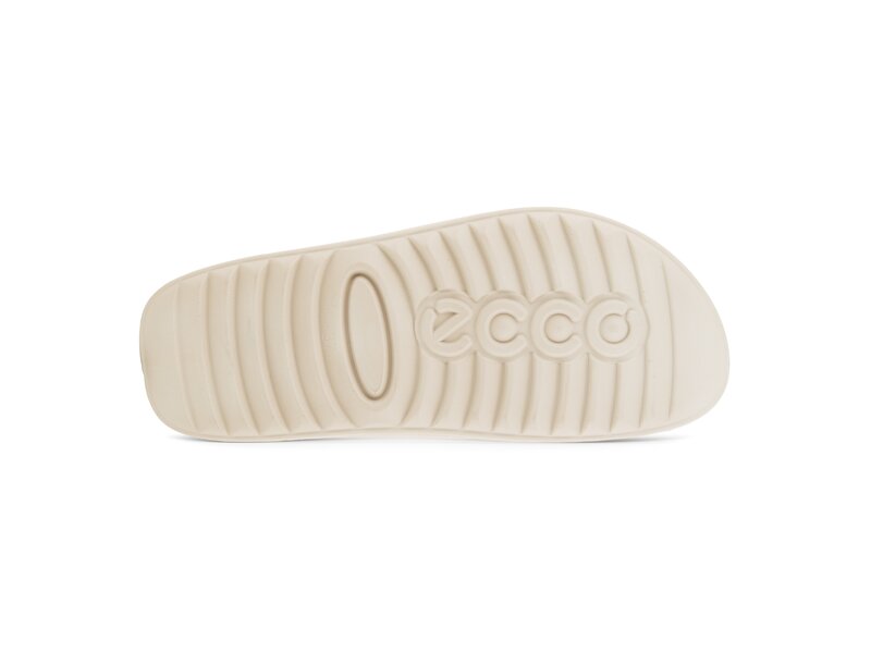 Ecco - 2nd Cozmo 
