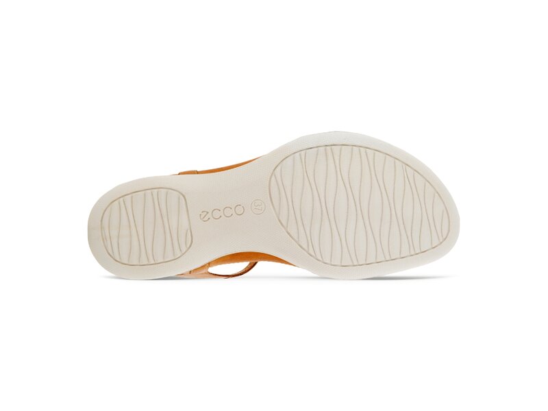 Ecco - Flash 