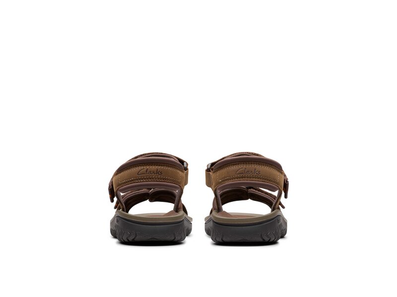 Clarks - Wesley Shore - Braun 