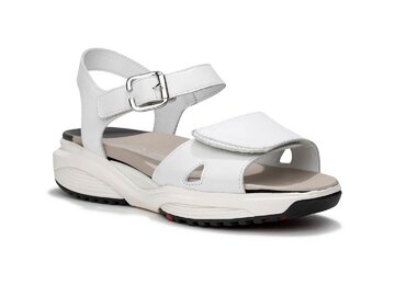 Xsensible - Skala - 30312.5.101 - White