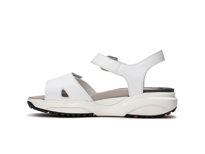 Xsensible - Skala - 30312.5.101 - White 