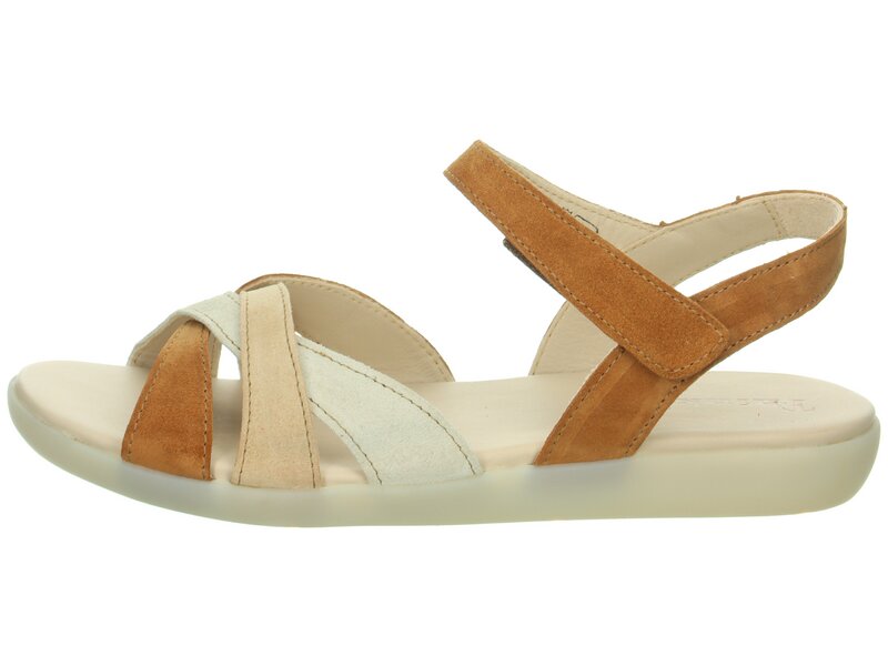 Think - Nature - Braun 