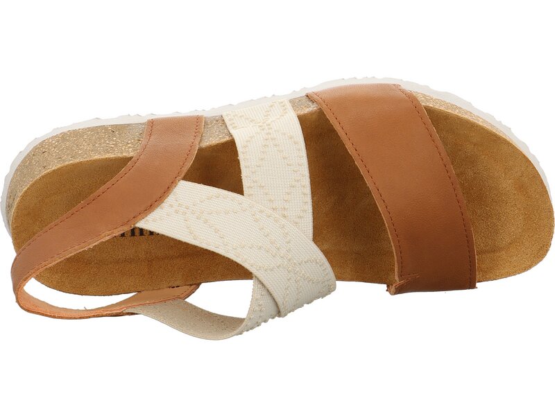 Think - Koak - Braun 