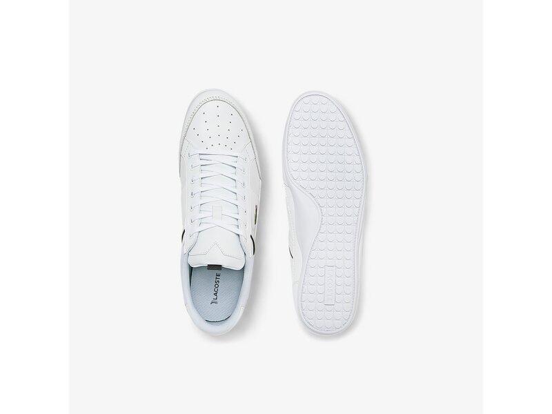 Lacoste - CHAYMON 0121 1 CMA 
