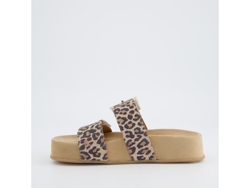 Paul Green - Pantolette - Mehrfarbig 