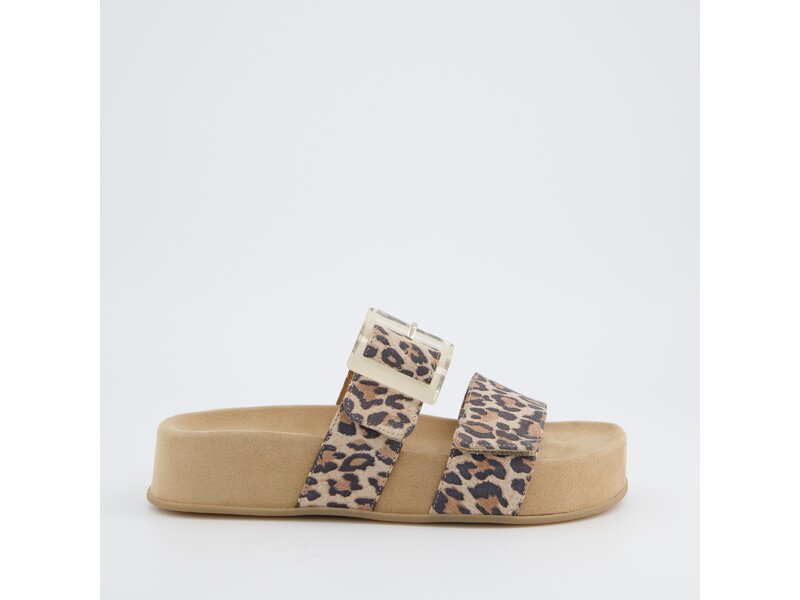 Paul Green - Pantolette - Mehrfarbig 