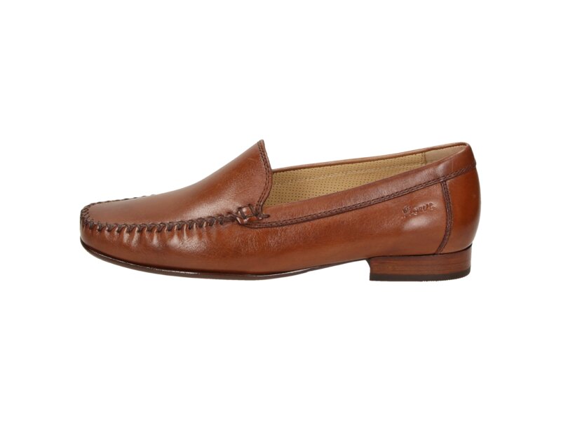 Sioux - CAMPINA - Braun 