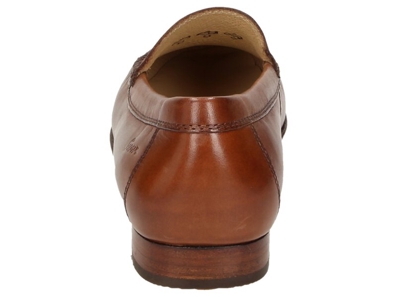 Sioux - CAMPINA - Braun 