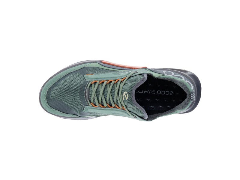 Ecco - Biom 2.1 X Mountain 
