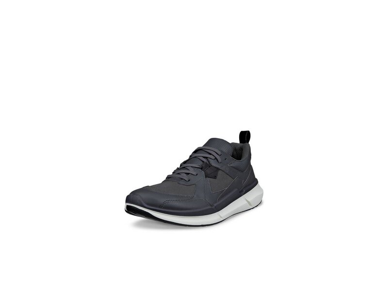 Ecco - BIOM 2.2 M - Grau 