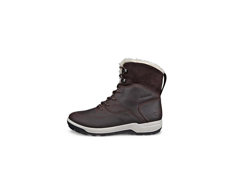 Ecco - TRACE LITE - Braun 