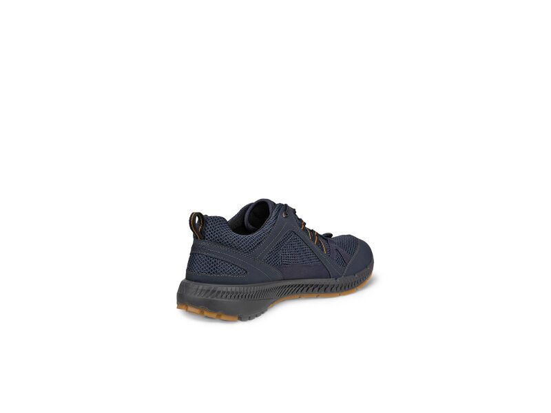 Ecco - 843064/51241 - ECCO TERRACRUISE II M TEX GTX - Blau 