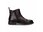 Salamander - Ankle Boots - Braun 