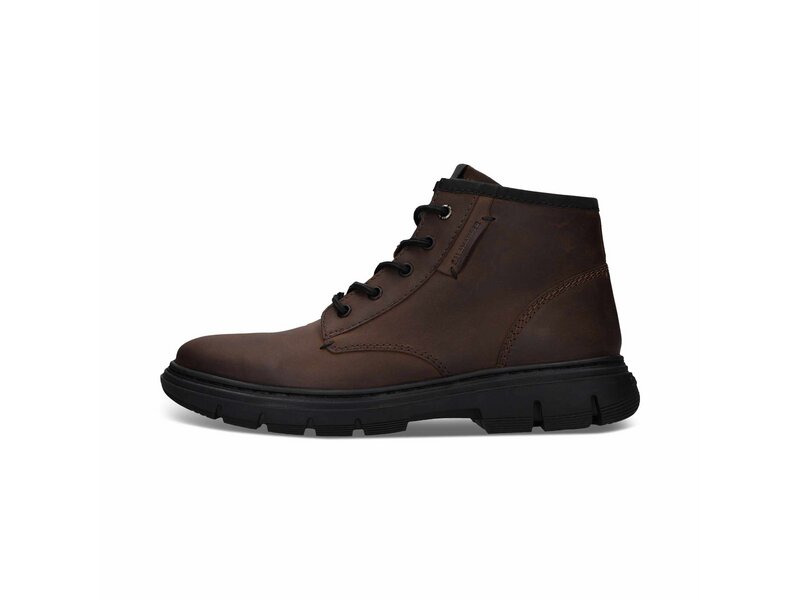 Salamander - Ankle Boots - Braun 