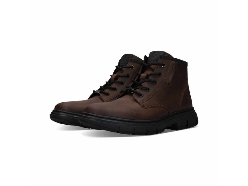 Salamander - Ankle Boots - Braun 