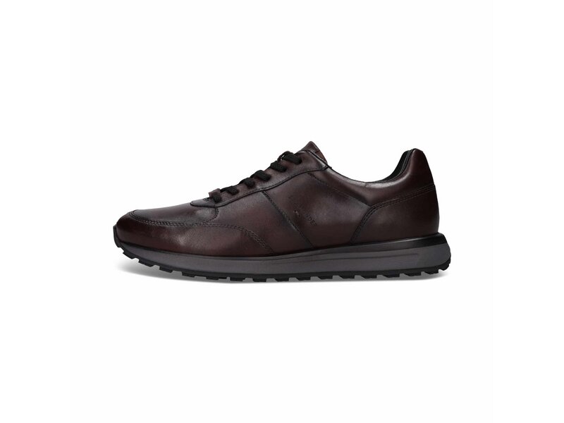 Salamander - Sneaker - Braun 