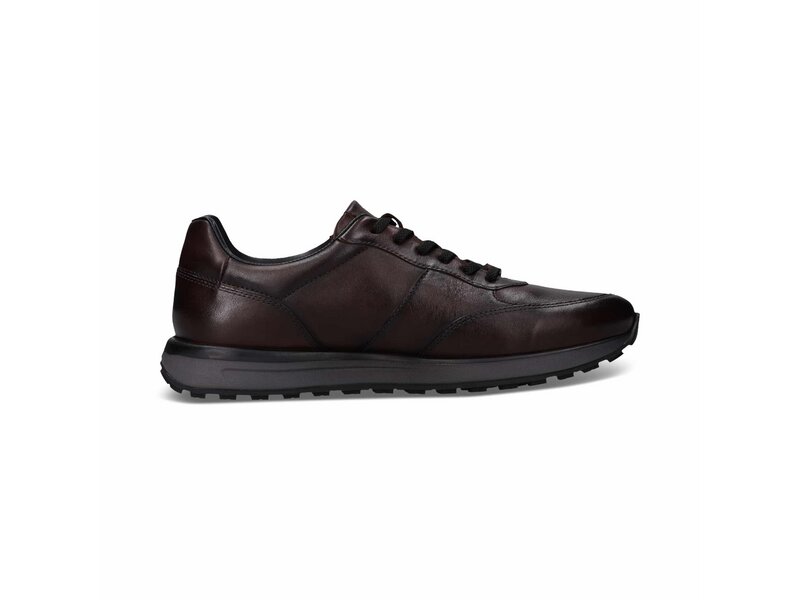 Salamander - Sneaker - Braun 