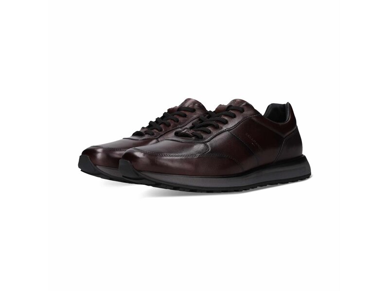 Salamander - Sneaker - Braun 
