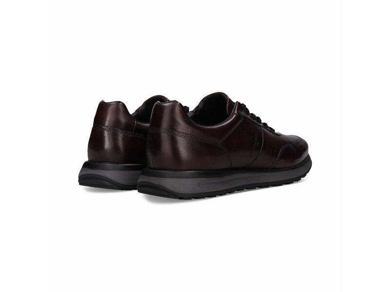 Salamander - Sneaker - Braun 