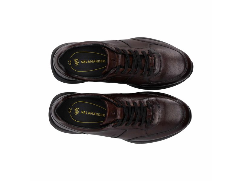 Salamander - Sneaker - Braun 