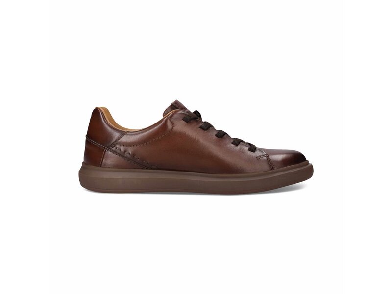 Salamander - Sneaker - Braun 