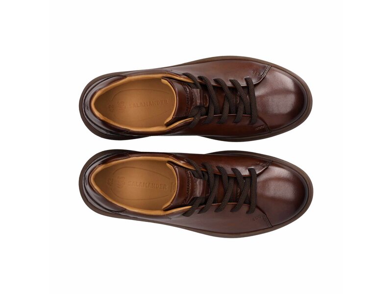 Salamander - Sneaker - Braun 