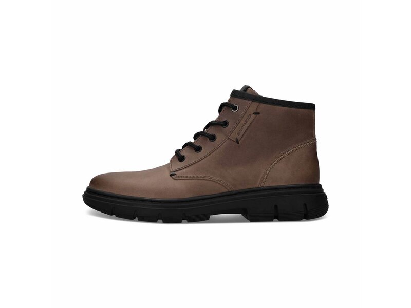 Salamander - Ankle Boots - Beige 