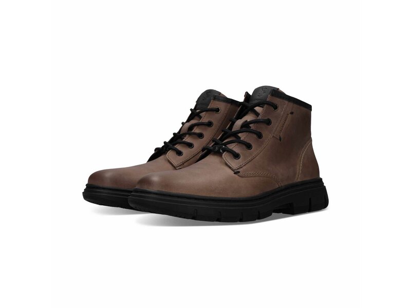 Salamander - Ankle Boots - Beige 