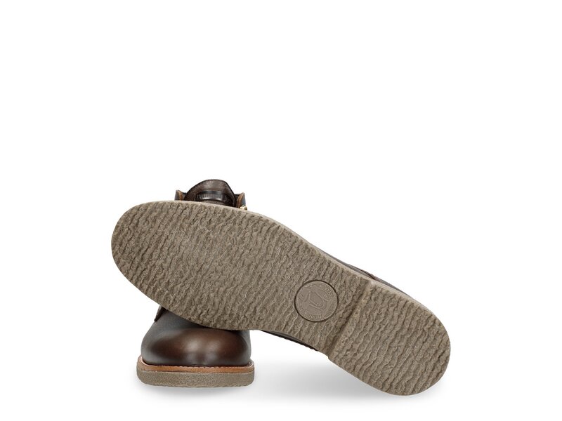 Panama Jack - Glasgow Gtx C2 - Braun 