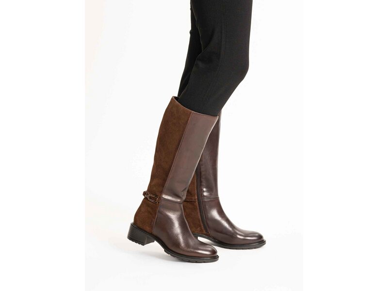 Ara - Parker - Braun 