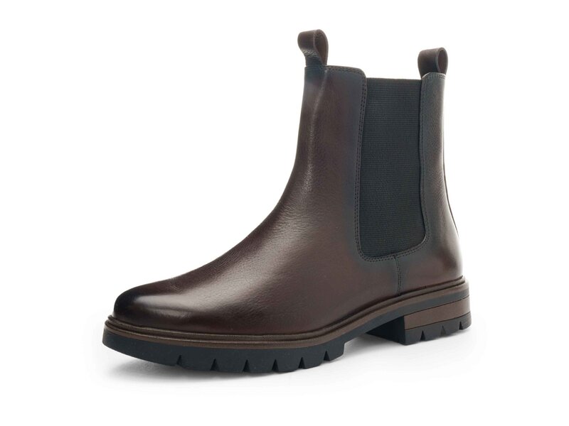 Ara - Cambridge - Braun 