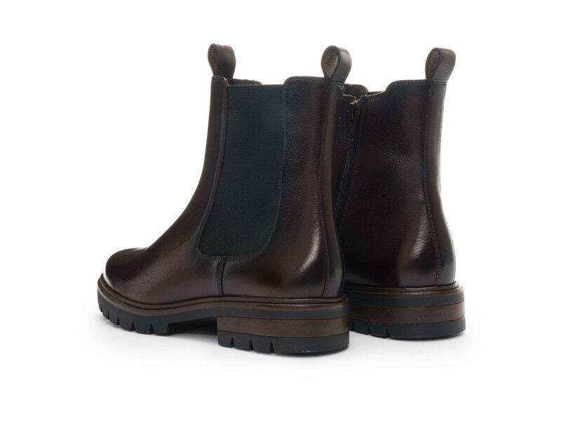 Ara - Cambridge - Braun 