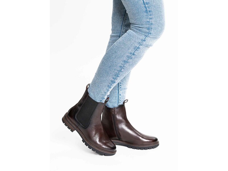 Ara - Cambridge - Braun 