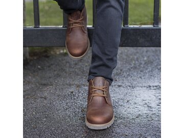 Panama Jack - Bota Panama Igloo C5 - Braun