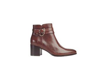 Regarde Le Ciel - TAYLOR-45 - Braun