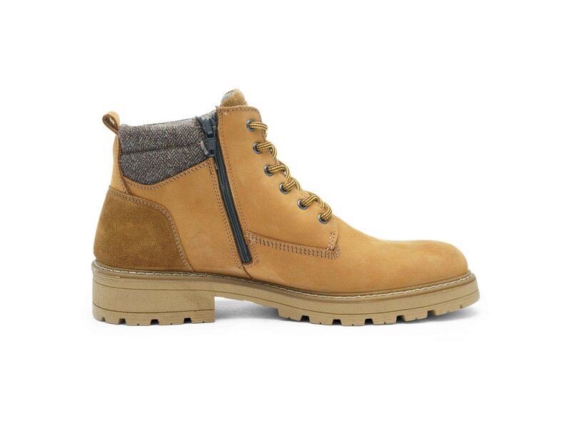 Ara - Frederik - Braun 