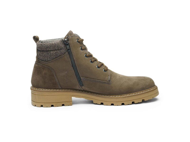 Ara - Frederik - Braun 