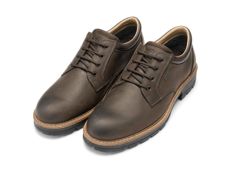 Ara - Frederik - Braun 