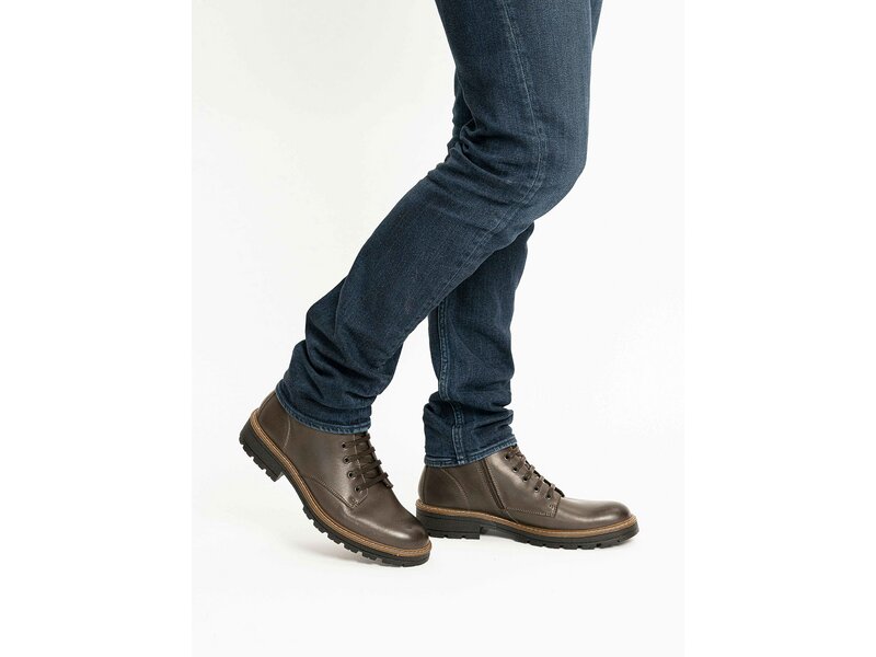 Ara - Frederik - Braun 