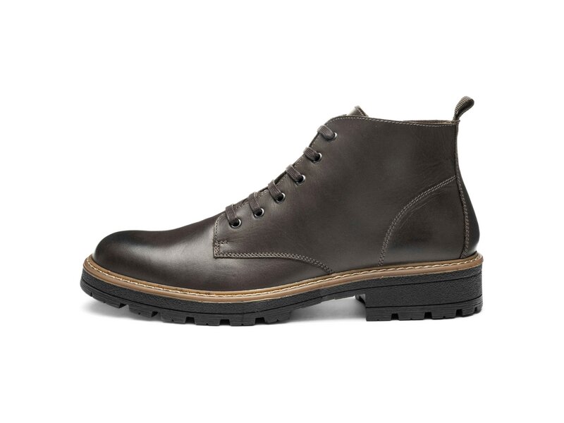 Ara - Frederik - Braun 