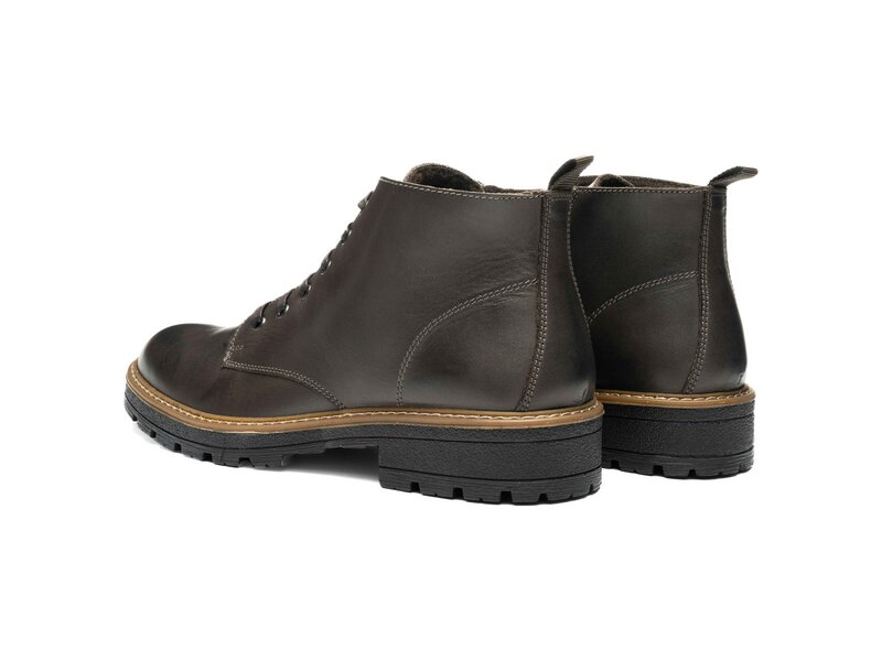 Ara - Frederik - Braun 