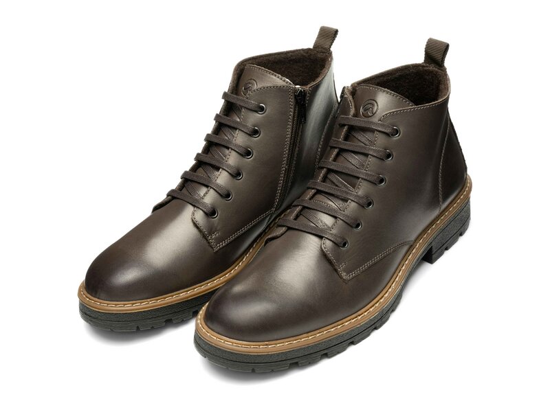 Ara - Frederik - Braun 