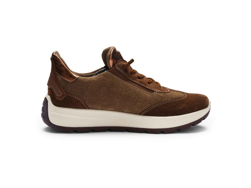 Ara - New York - Braun 